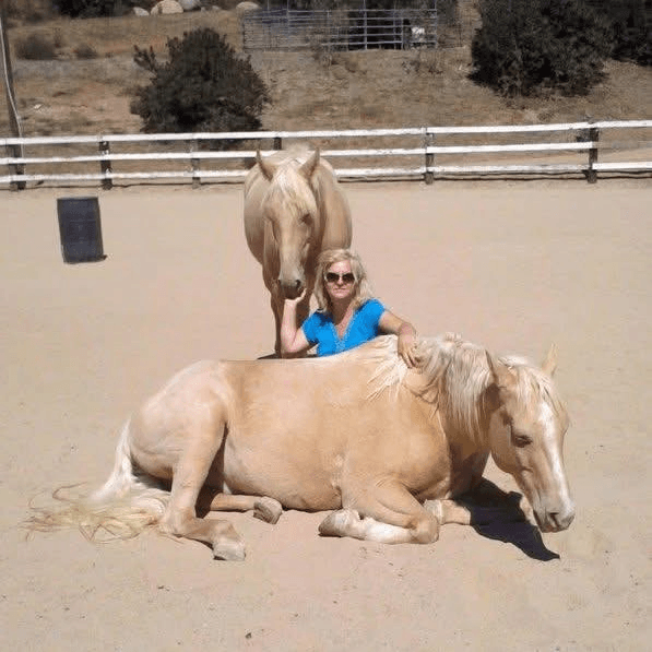 Christa Martin with two palomino horses in an outdoor arena