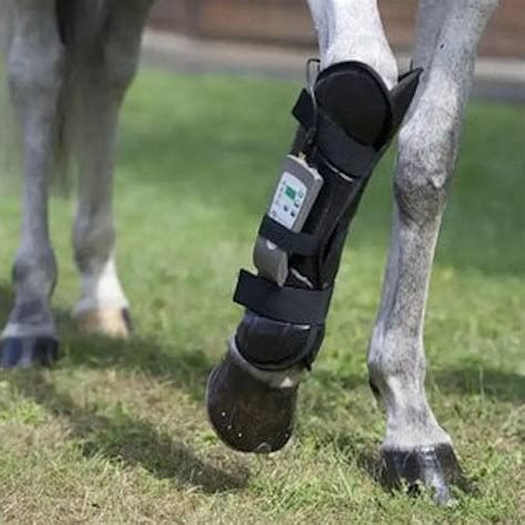 Omni Perf device fitted around a horse's lower leg