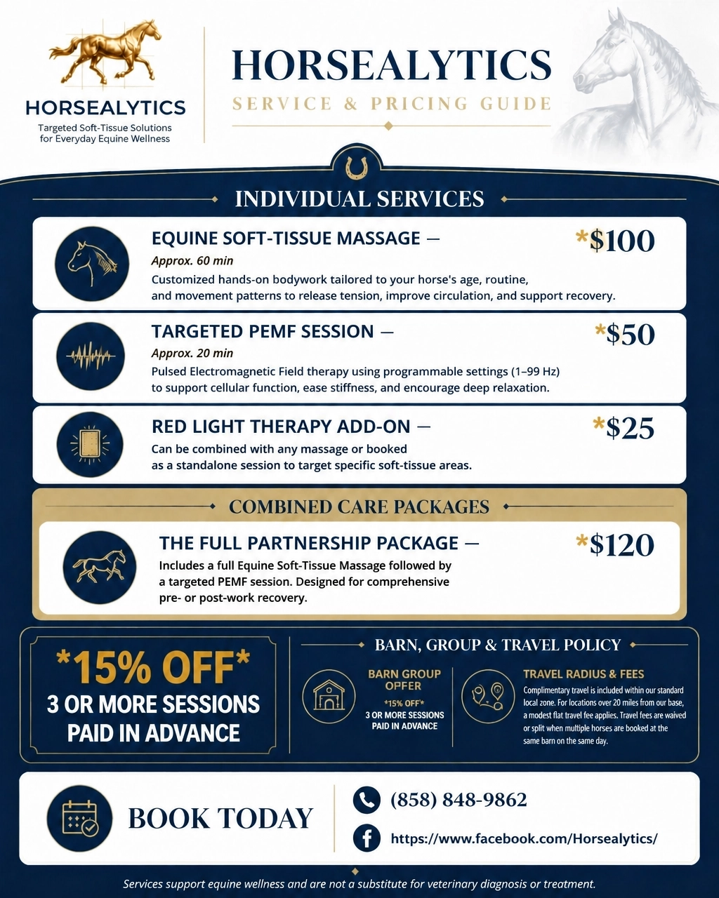 Horsealytics Service and Pricing Guide showing individual services, the Full Partnership Package, discounts, travel policy, and contact details.